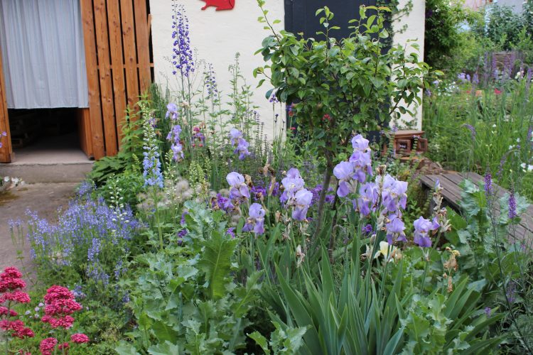 Ohne Worte – Garten