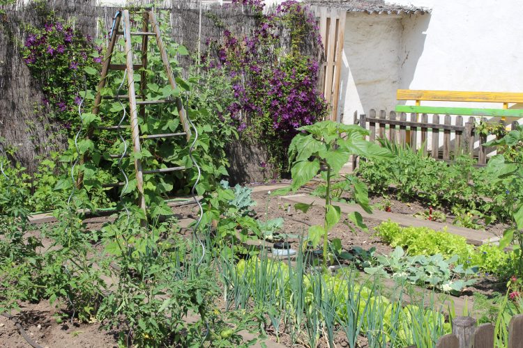 Urlaub und Garten...